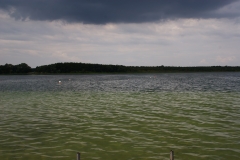 SONY DSC